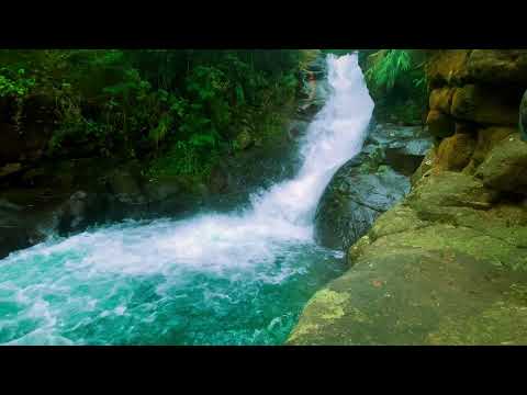 Видео: Спокойное течение реки | Природные звуки воды для сна и релаксации