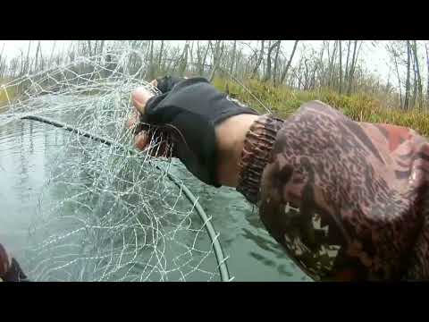 Видео: Щука , осень 18.11.23 г.