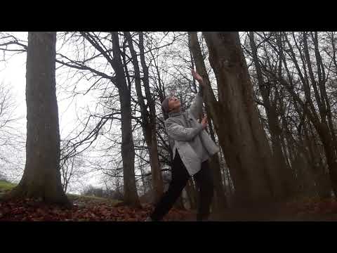 Видео: 07.11.2025.  С Кришной - в храме Тибета.