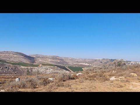 Видео: Прикосновение к истории (извинения за шум ветра) Глава Ваэтханан 5785