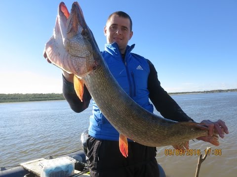 Видео: Ловля щуки на джиг и в отвес