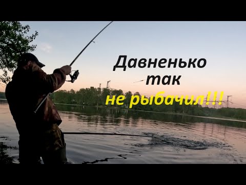 Видео: Ловля карпа и амура на удочку на Десногорском водохранилище (ДВХ).