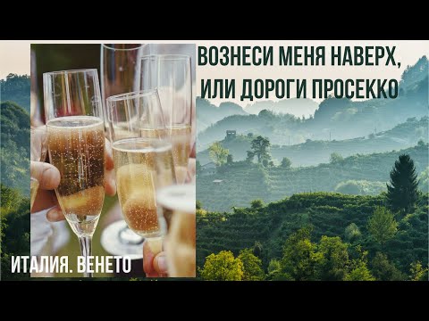 Видео: Италия.Венето.Самый божественный напиток Италии-просекко.#путешествиепоиталии