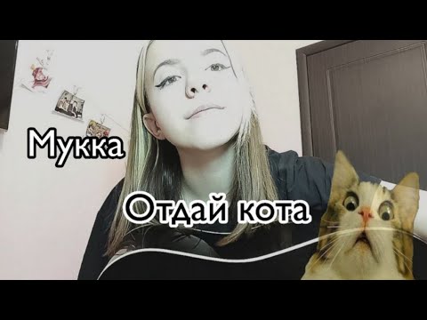 Видео: Мукка - отдай кота 🐱 ( guitar cover 🎸)