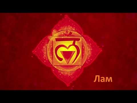 Видео: СЕАНС ЗАПУСК ПЕРВОЙ ЧАКРЫ*105