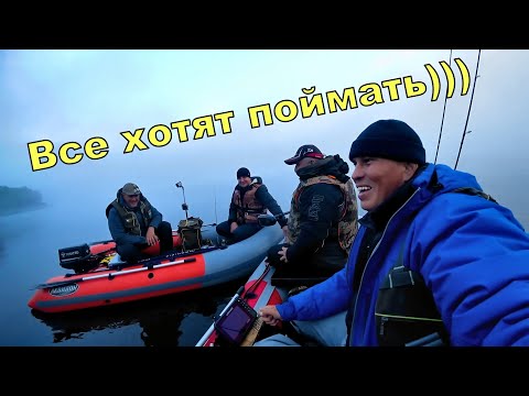 Видео: Все маньяки в сборе - Рыбалка на Десногорском водохранилище
