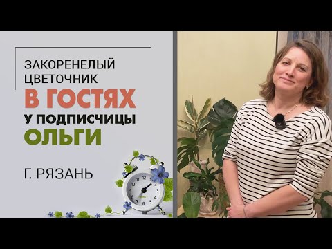 Видео: В гостях у подписчицы Ольги.  Город Рязань. Комнатные растения в скандинавском интерьере