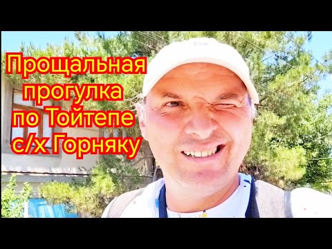 Видео: Последняя прогулка по совхозу Горняку Тойтепа