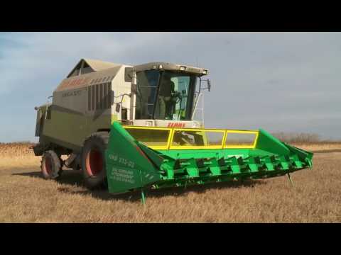 Видео: Жатка НАШ (для уборки подсолнечника)