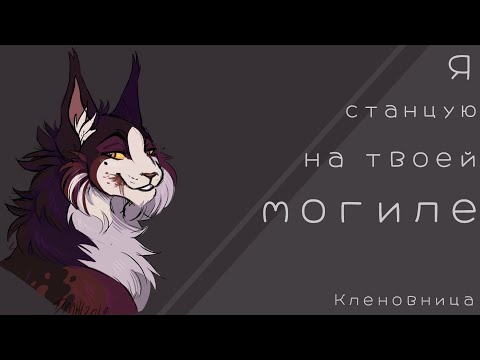 Видео: Кленовница:«Я станцую на твоей могиле»//Коты Воители