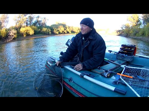 Видео: Рыбалка на реке Ишим