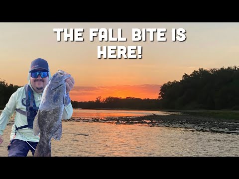Видео: На реке Грейт-Майами наконец-то наступил осенний клев!