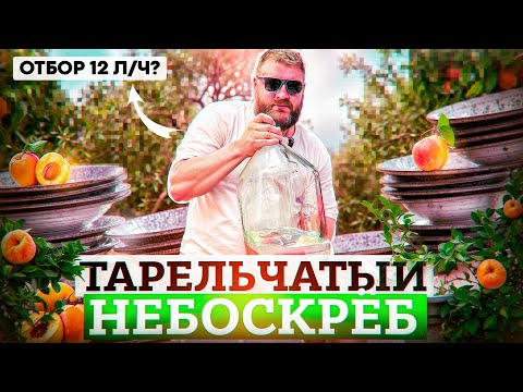 Видео: РАБОТА С ТАРЕЛЬЧАТЫМ НЕБОСКРЕБОМ