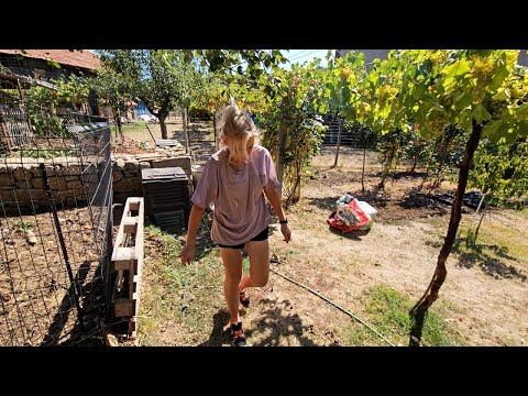 Видео: #Ден 14 от 90 ДНИ НА СЕЛО: В овощната градина - косене и разчистване