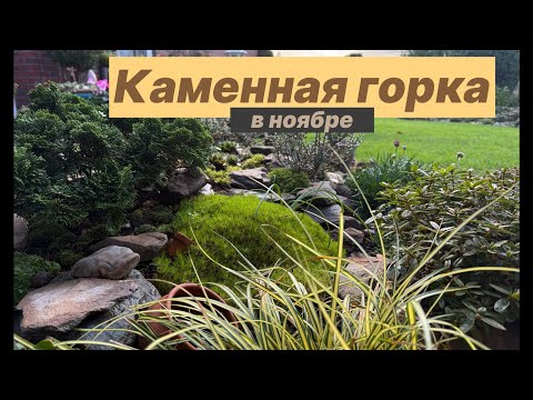 Видео: Ноябрь: экспресс- прогулка по моей каменной горке 🌱