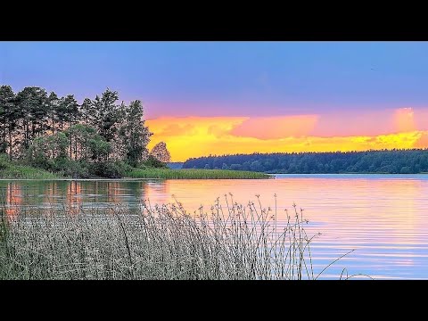 Видео: Осенний фидер на Вилейке с печкой! Никого рядом, только ты и природа!