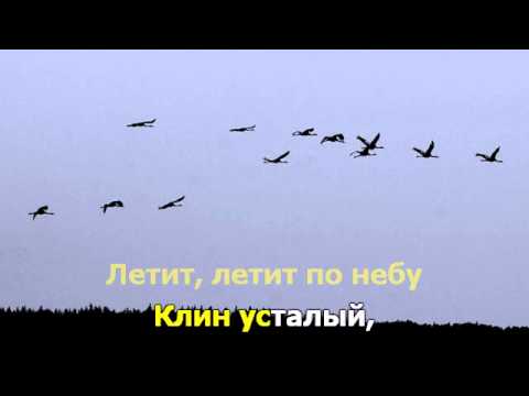 Видео: Журавли. Любимые песни. Караоке.