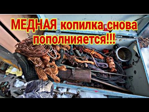 Видео: Медная и латунная копилка снова пополнилась на килограммы! 