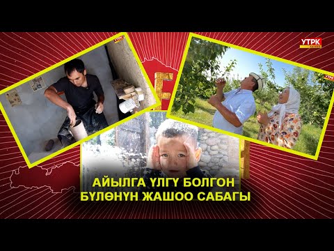 Видео: ЧОПОГО ЖАН КИРГИЗГЕН ЧЕБЕР