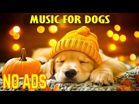 Видео: 🐶 3 часа успокаивающей музыки для собак | Борьба с тревогой разлуки 💖 Снятие стресса и расслаблени