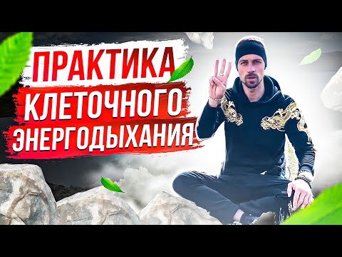 Видео: ДЫХАТЕЛЬНАЯ ПРАКТИКА | КЛЕТОЧНОЕ ДЫХАНИЕ | БИОХАКИНГ