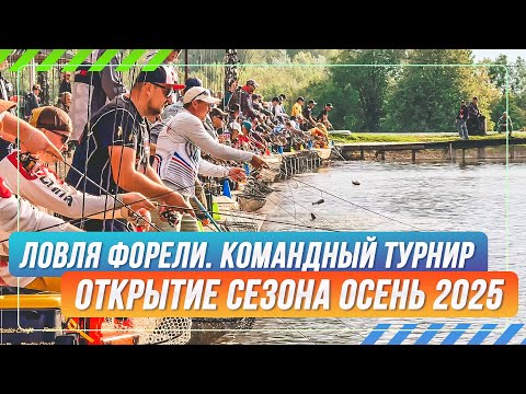 Видео: Ловля форели. Командный турнир. Открытие осеннего сезона. #OnlySpin