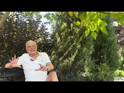 Видео: Дитя мое, для чего ты жил?