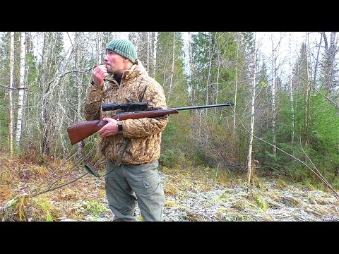 Видео: 4 ЧАСА ПО ЛЕСУ РАДИ ХОРОШЕГО МОМЕНТА / ТРУДОВАЯ ОХОТА НА БОРОВУЮ ПТИЦУ. ОХОТА С МЕЛКАШКОЙ НА РЯБЧИКА