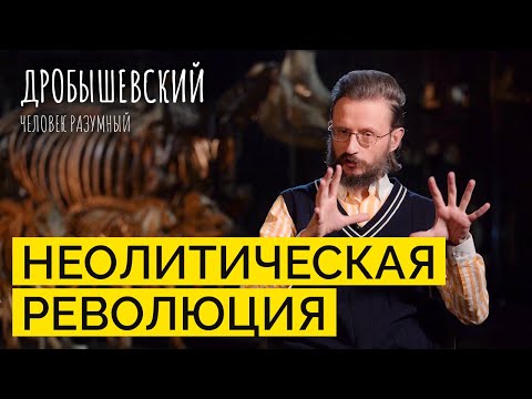Видео: Как наши предки начали переходить к производству // Дробышевский. Человек разумный