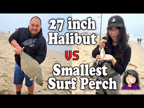 Видео: Выходные с ловлей Динка! Приключенческая серферская встреча Фридмана с БОНУСНЫМИ кадрами с Динком...