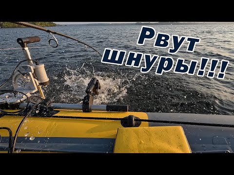 Видео: ХОРОШИЙ СПИННИНГ ЛОВИТ НА ПЕРВЫХ ЗАБРОСАХ!!! СУДАК РВЁТ ШНУРЫ!!!