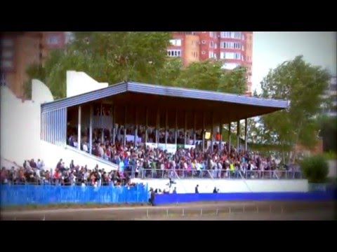 Видео: Омское коннозаводство