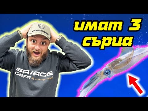 Видео: РИБОЛОВ НА КАЛМАРИ! Атаки НА ЖИВО!