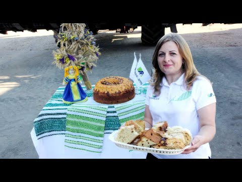 Видео: Обжинки ТОВ ''Полонне-Агро''. Відеорепортаж. 31.07.2024