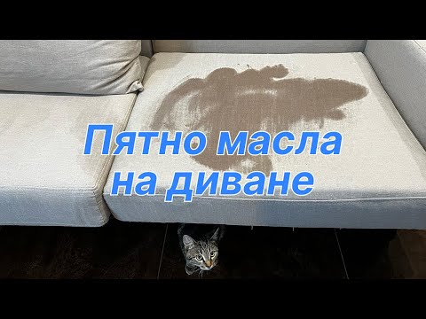 Видео: Химчистка дивана, удаление пятна масла. Химчистка мебели
