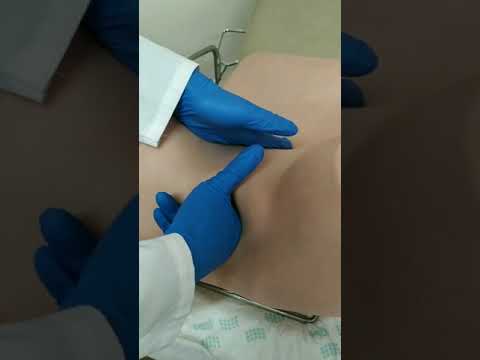 Видео: Бимануальное исследование: пальпация влагалища, шейки, тела матки, яичников (на муляже)