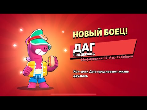 Видео: Пушимо кубки на Лілі 🥳