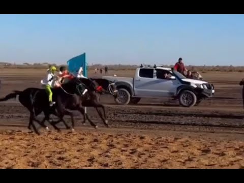 Видео: МАМАЙ ҚАРА, ЖҰМЫРТҰЯҚ, ТҰМАР керемет мәре.