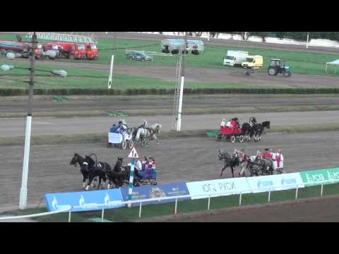 Видео: Русские тройки на Скачках на Приз Президента