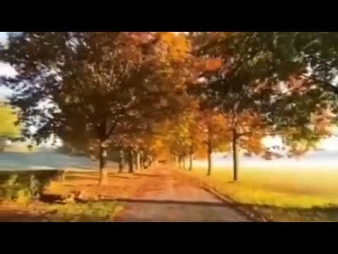 Видео: Покупки косметики в сентябре)))