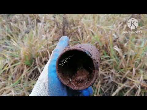 Видео: КОПМЕТАЛЛА ПОД ШАФЭ НА УРОЧИЩЕ, СО МНОЙ БЕЛЬМОНДО🤣🤣🤣