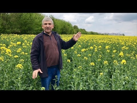 Видео: No-till и практика Владимира Вакуляка  | часть 1