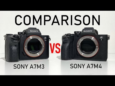 Видео: Сравнение Sony A7M3 и A7M4. Есть ли смысл переходить?