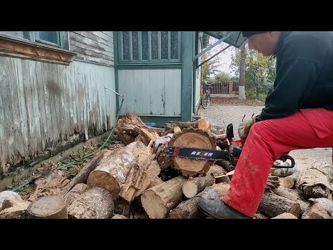 Видео: Испытание в работе бензопилы REZER FGS-5200MG