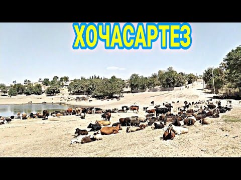 Видео: Дехаи ХОЧАСАРТЕЗИ Н. ТЕМУРМАЛИК