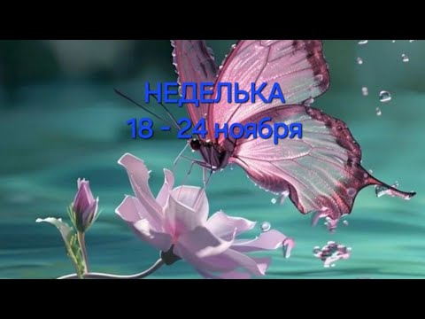 Видео: НЕДЕЛЬКА 18 - 24 ноября ❤️🌈💝👀💯🎁