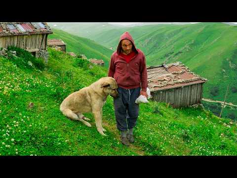 Видео: Горец в заброшенных горах | Документальный фильм