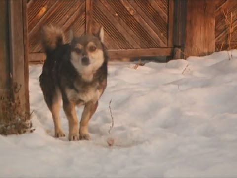 Видео: Край без окраин: У Думной горы