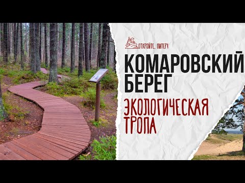 Видео: Экотропа в Комарово! Идеальное место для прогулки в окрестностях Санкт-Петербурга