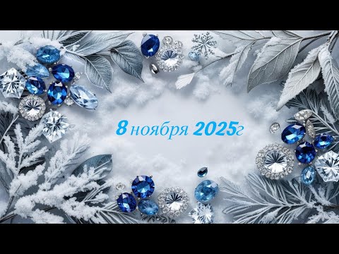Видео: Новое поступление 8-11-2025
